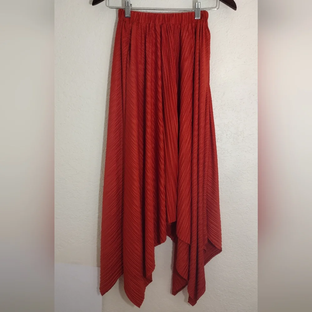 Anthropologie Sunday in Brooklyn Plissé Skirt - Picture 2 of 5